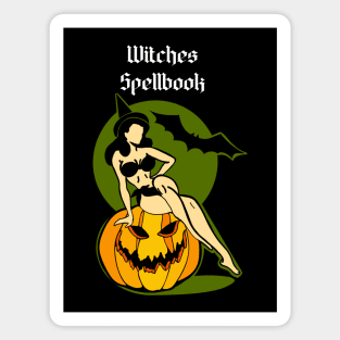 Witches Spellbook Magnet